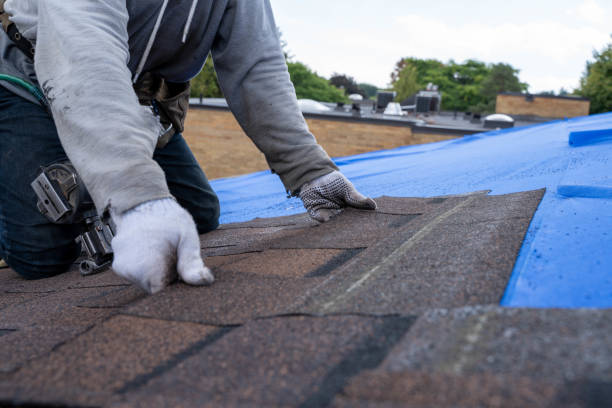 Best Roof Gutter Cleaning  in Wright, FL